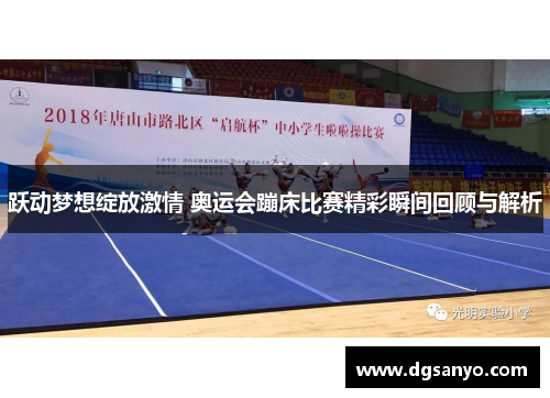 跃动梦想绽放激情 奥运会蹦床比赛精彩瞬间回顾与解析