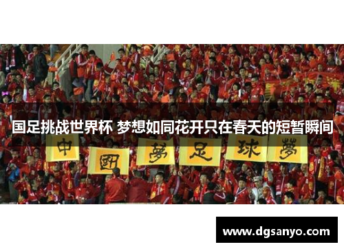 国足挑战世界杯 梦想如同花开只在春天的短暂瞬间