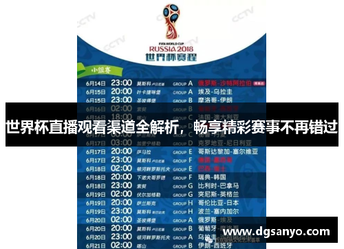 世界杯直播观看渠道全解析，畅享精彩赛事不再错过